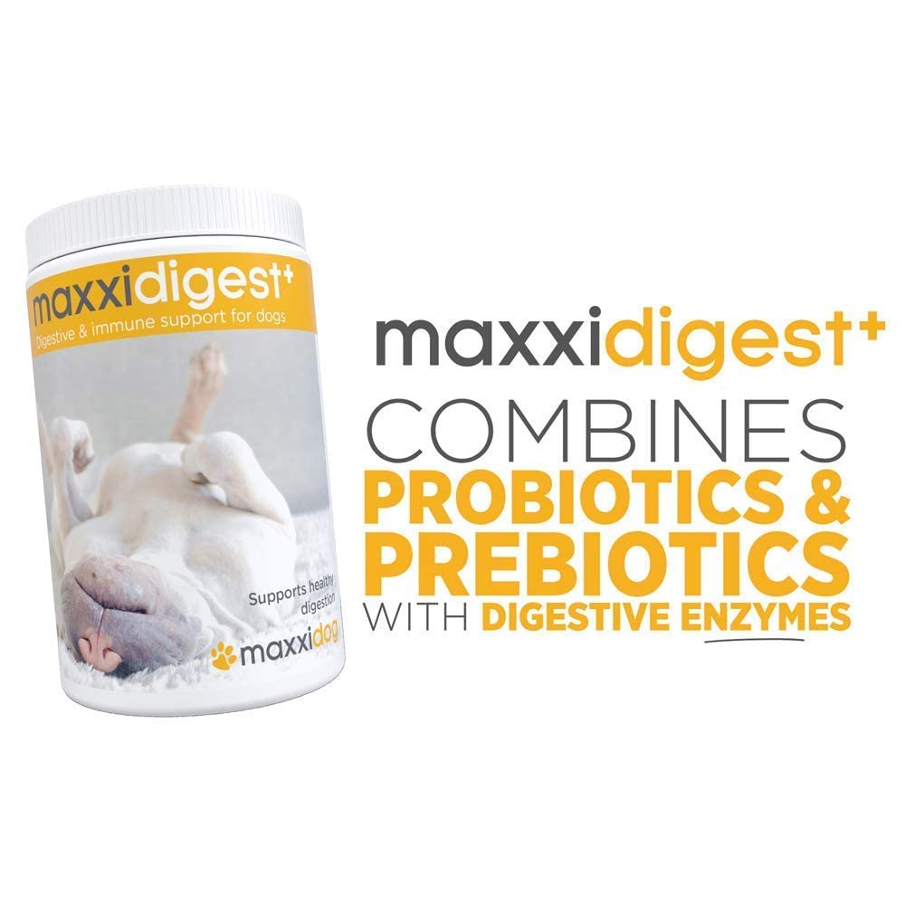 SAM-e Digestive and Immune Supplement J465