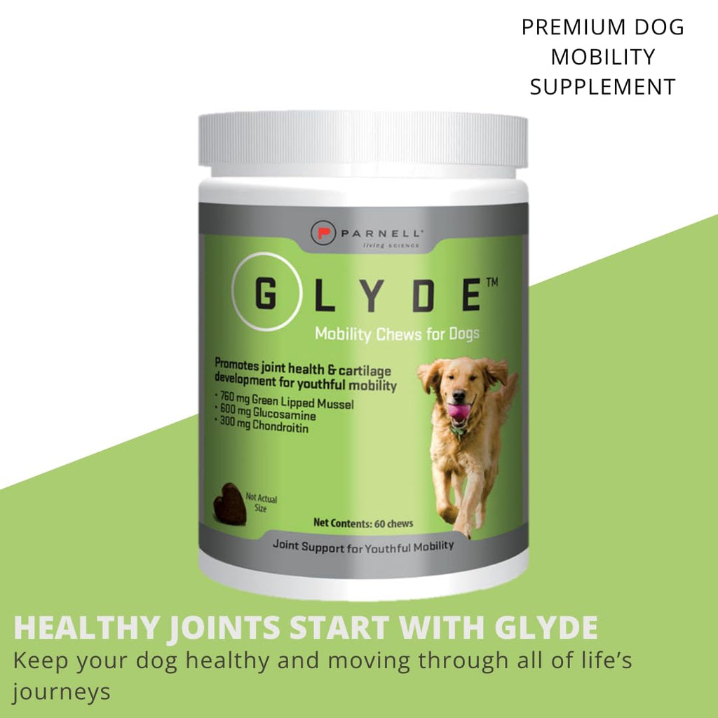 Hip & Joint Supplement for Dogs, 120 Chews T710458