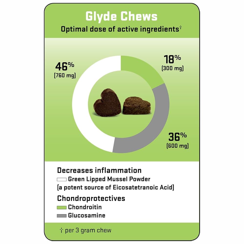 Hip & Joint Supplement for Dogs, 120 Chews T710458
