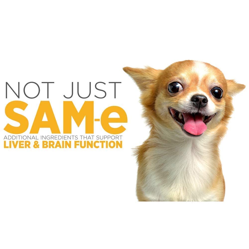 SAM-e Digestive and Immune Supplement J465
