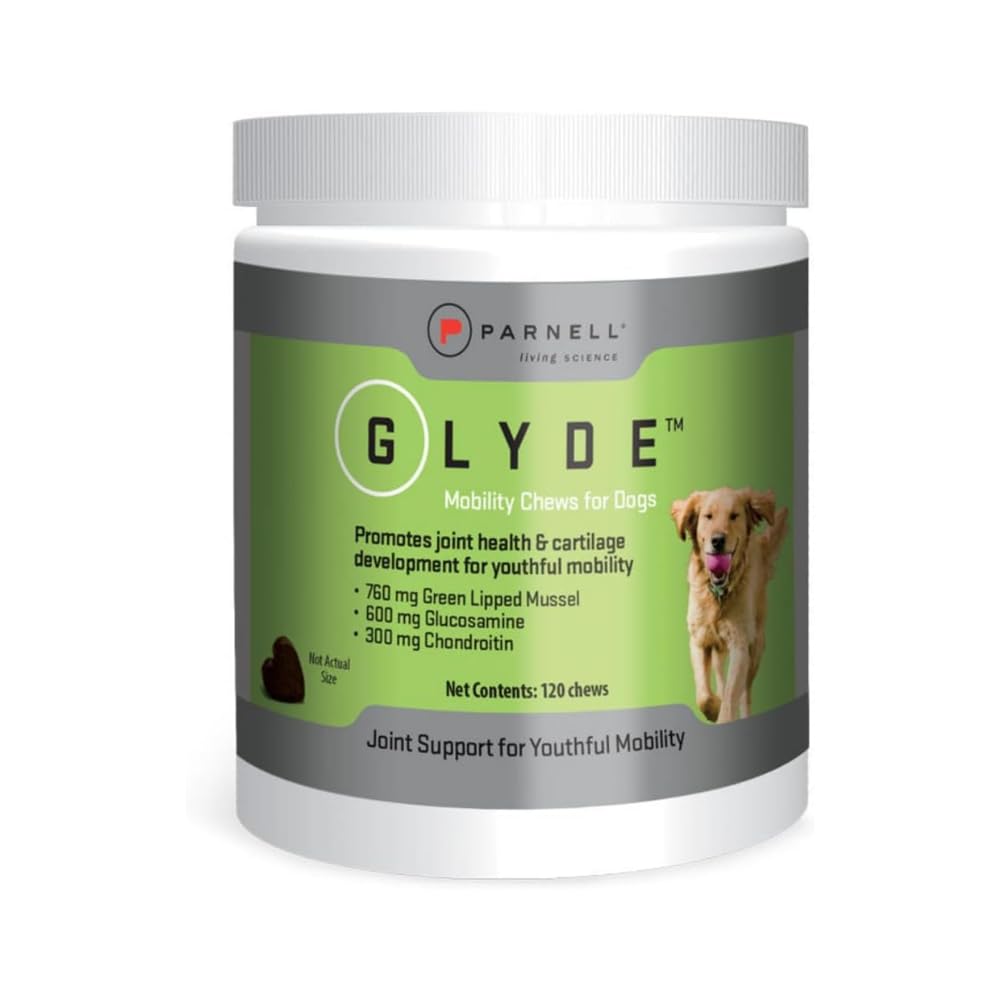 Hip & Joint Supplement for Dogs, 120 Chews T710458