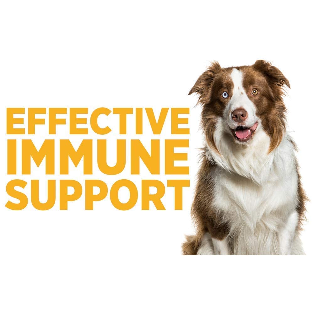 SAM-e Digestive and Immune Supplement J465