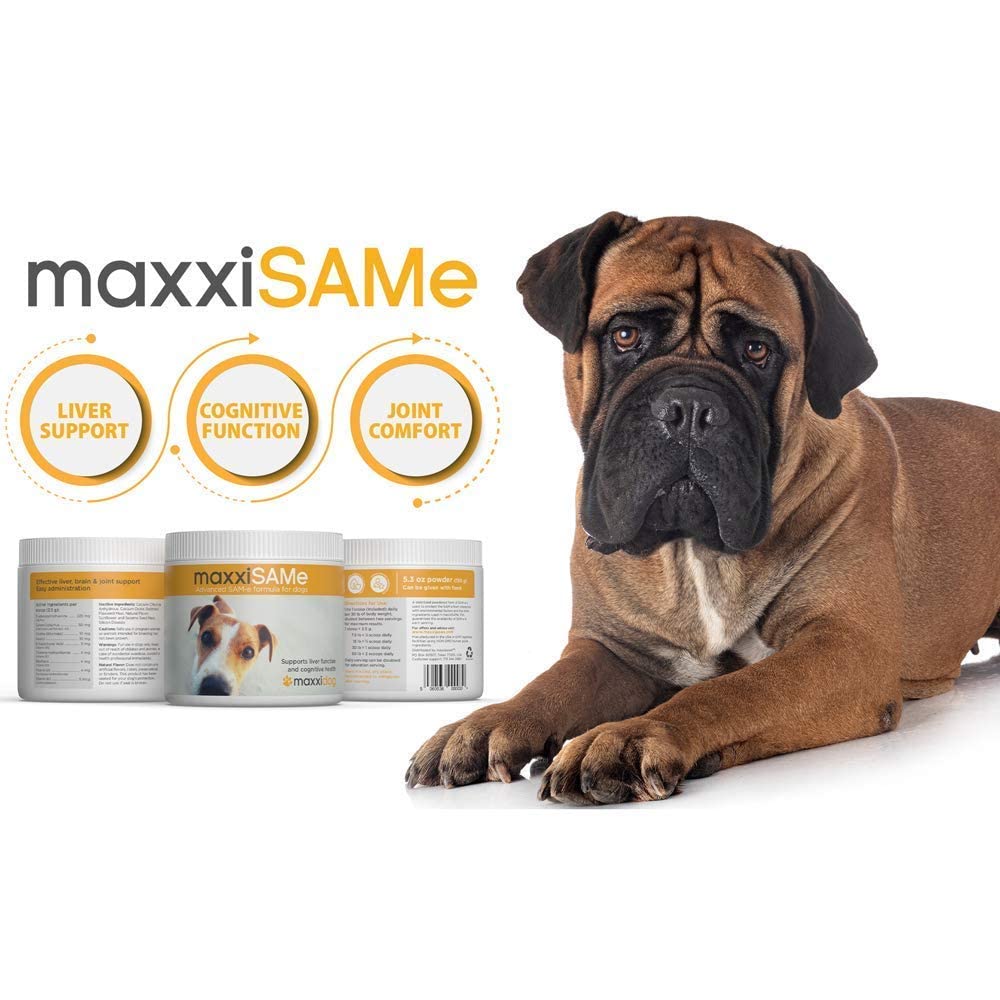SAM-e Digestive and Immune Supplement J465
