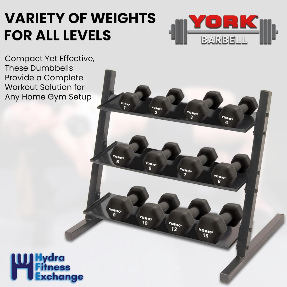 Neoprene Hexagon Dumbbells with Cast Ergo Handle, 10lb Pack of 4 R11334