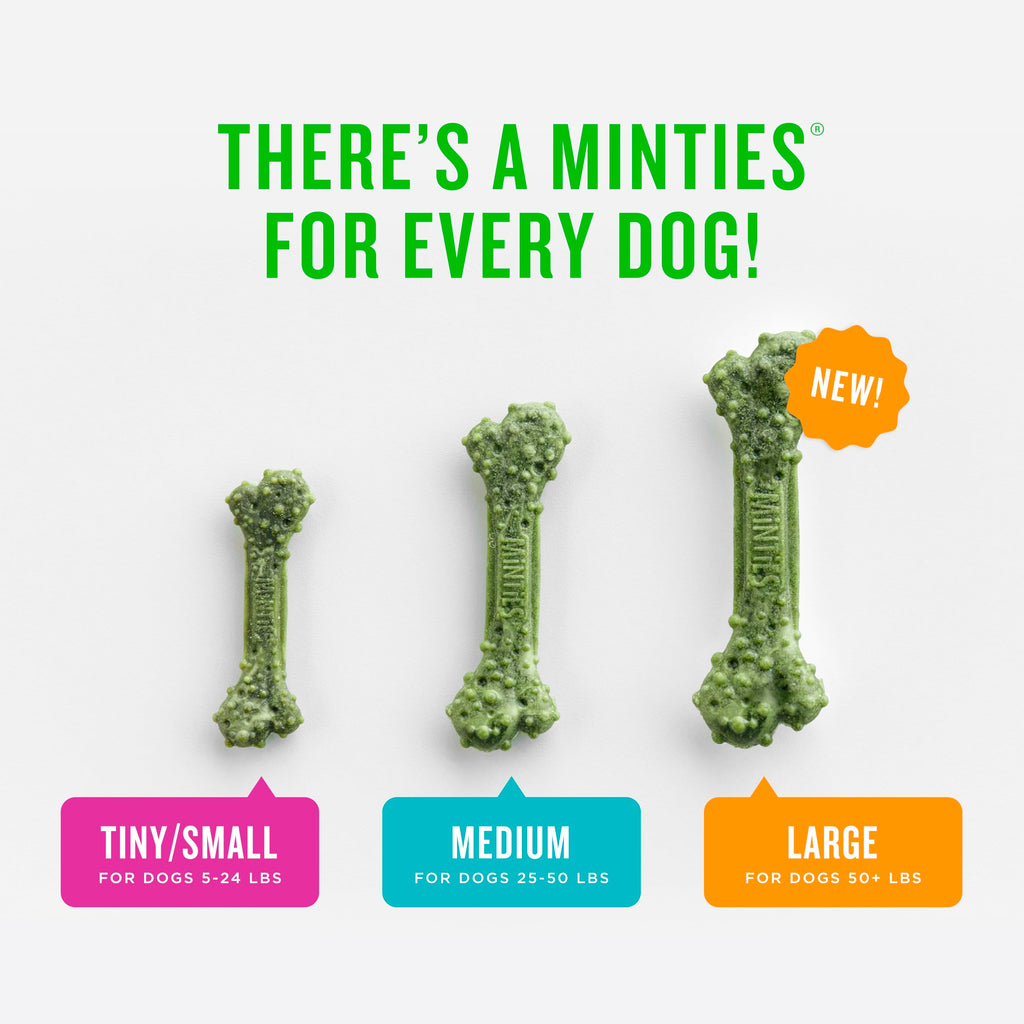 Mint Dental Chews for Dogs 36 Ct C387