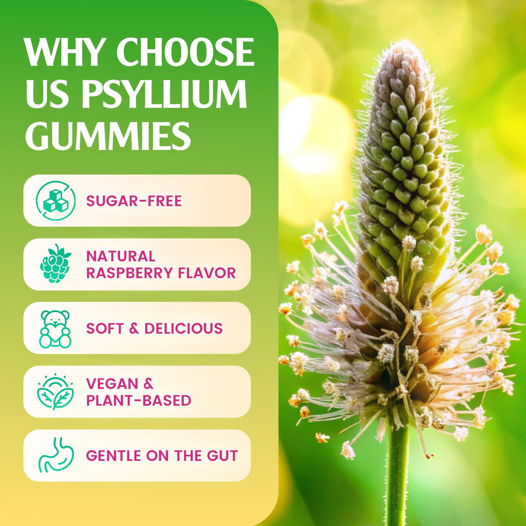 1500mg Psyllium Husk Gummies Z33758