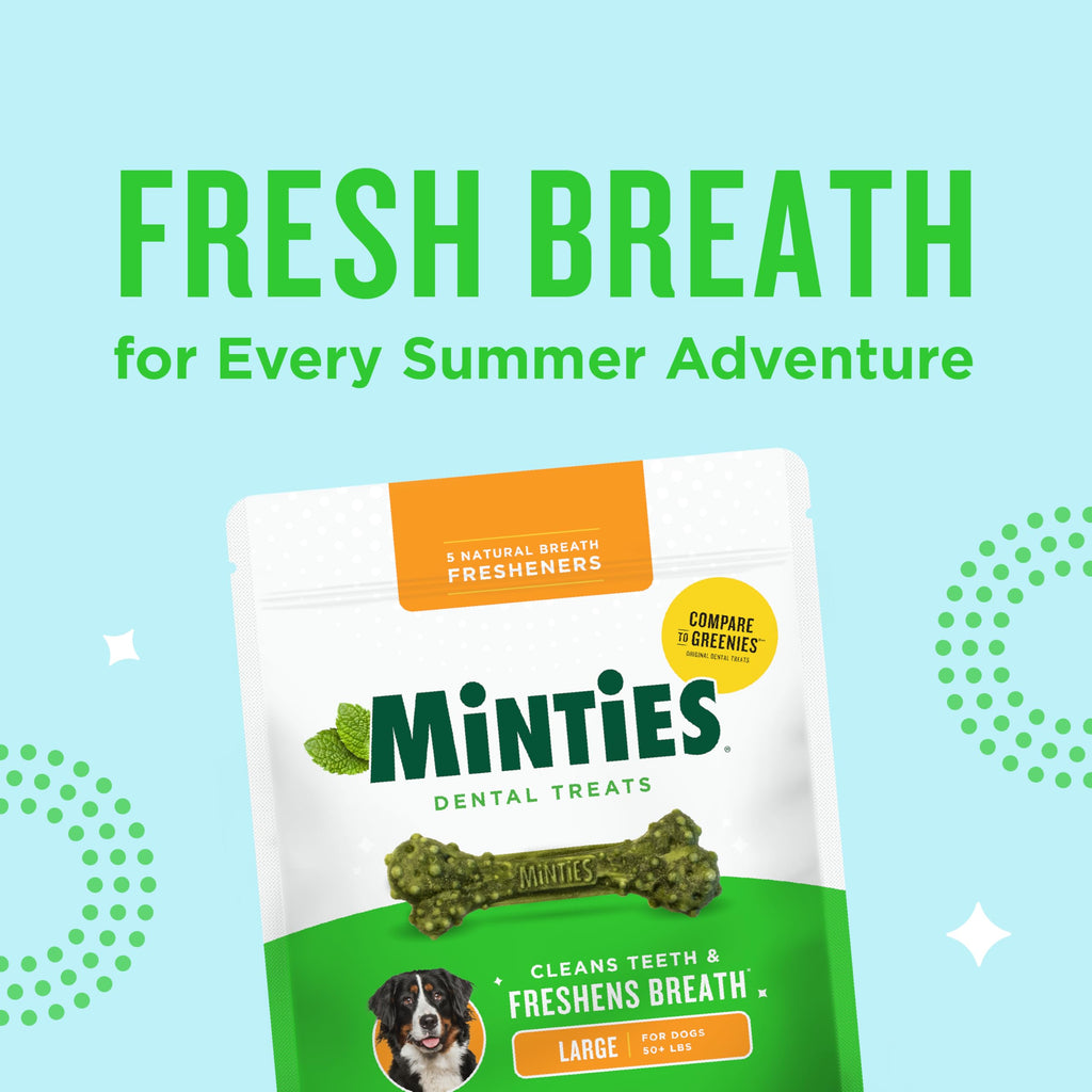 Mint Dental Chews for Dogs 36 Ct C387
