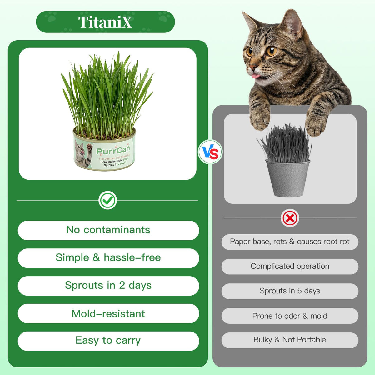 4 Can Cat Grass Kit with Non-GMO Organic Wheat Seeds D5394