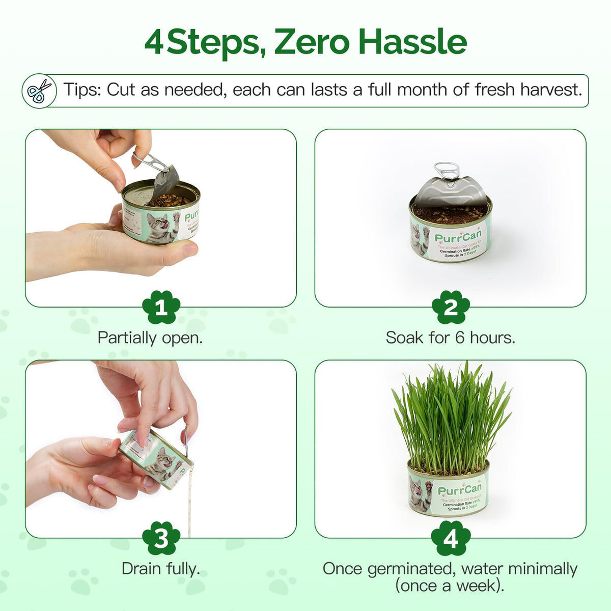 4 Can Cat Grass Kit with Non-GMO Organic Wheat Seeds D5394
