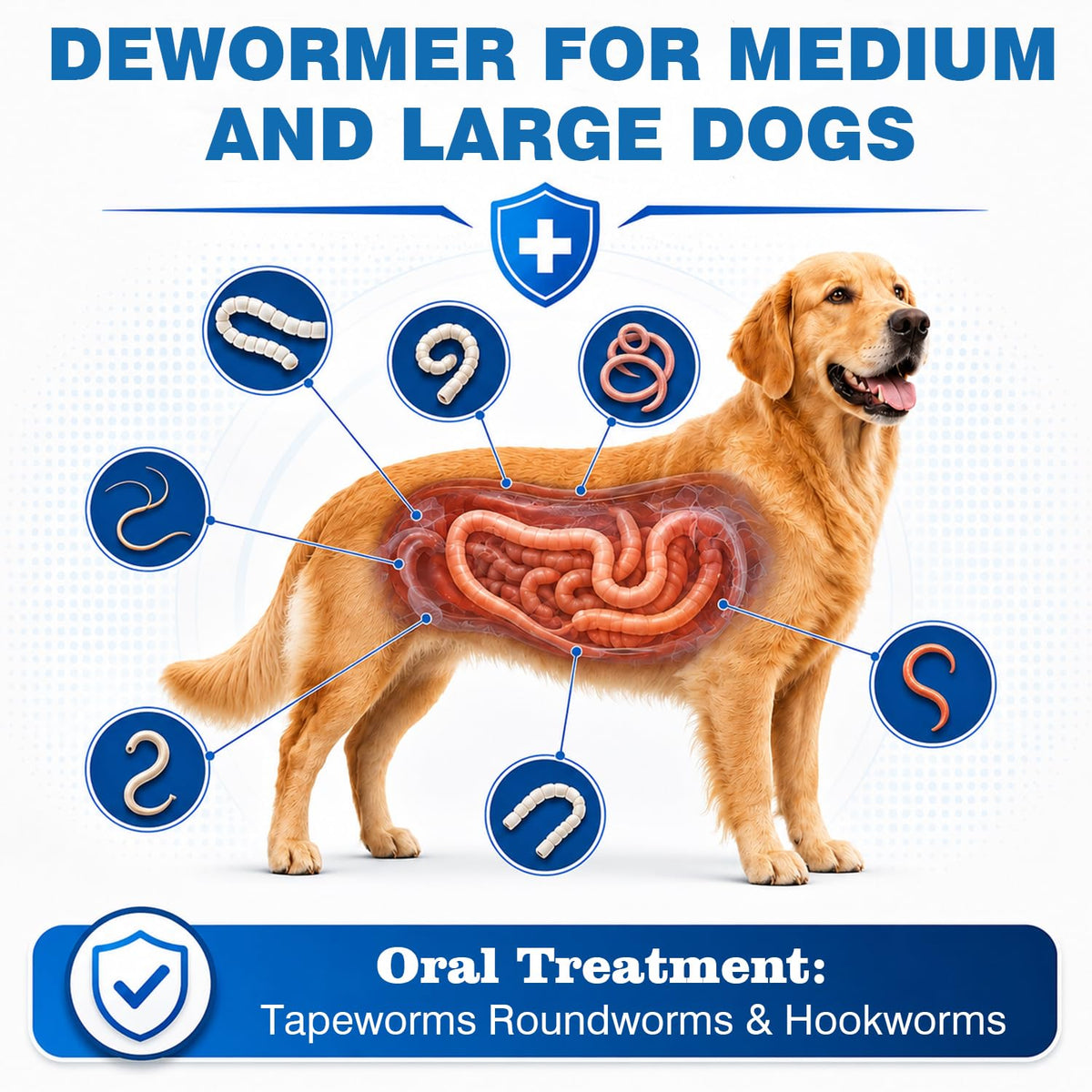 Dog Tapeworm Roundworm & Hookworm Oral Treatment Tablets J724457