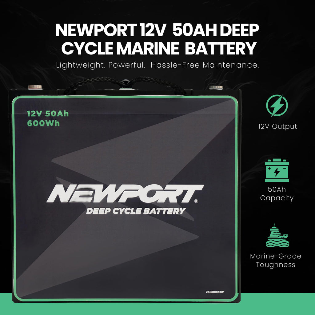 12V50Ah Deep Cycle Sealed AGM Marine Battery D893853