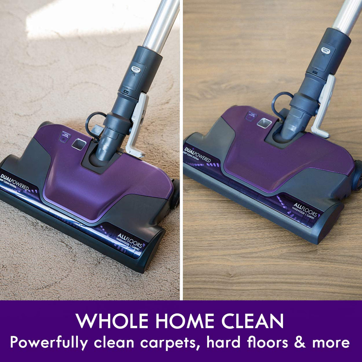 Bagged Canister Vacuum V6110