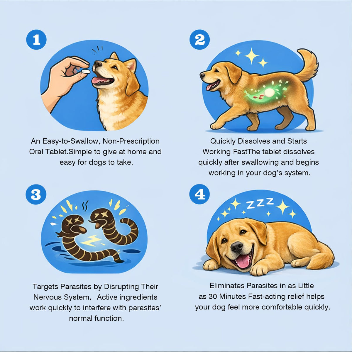 Dog Tapeworm Roundworm & Hookworm Oral Treatment Tablets J724457