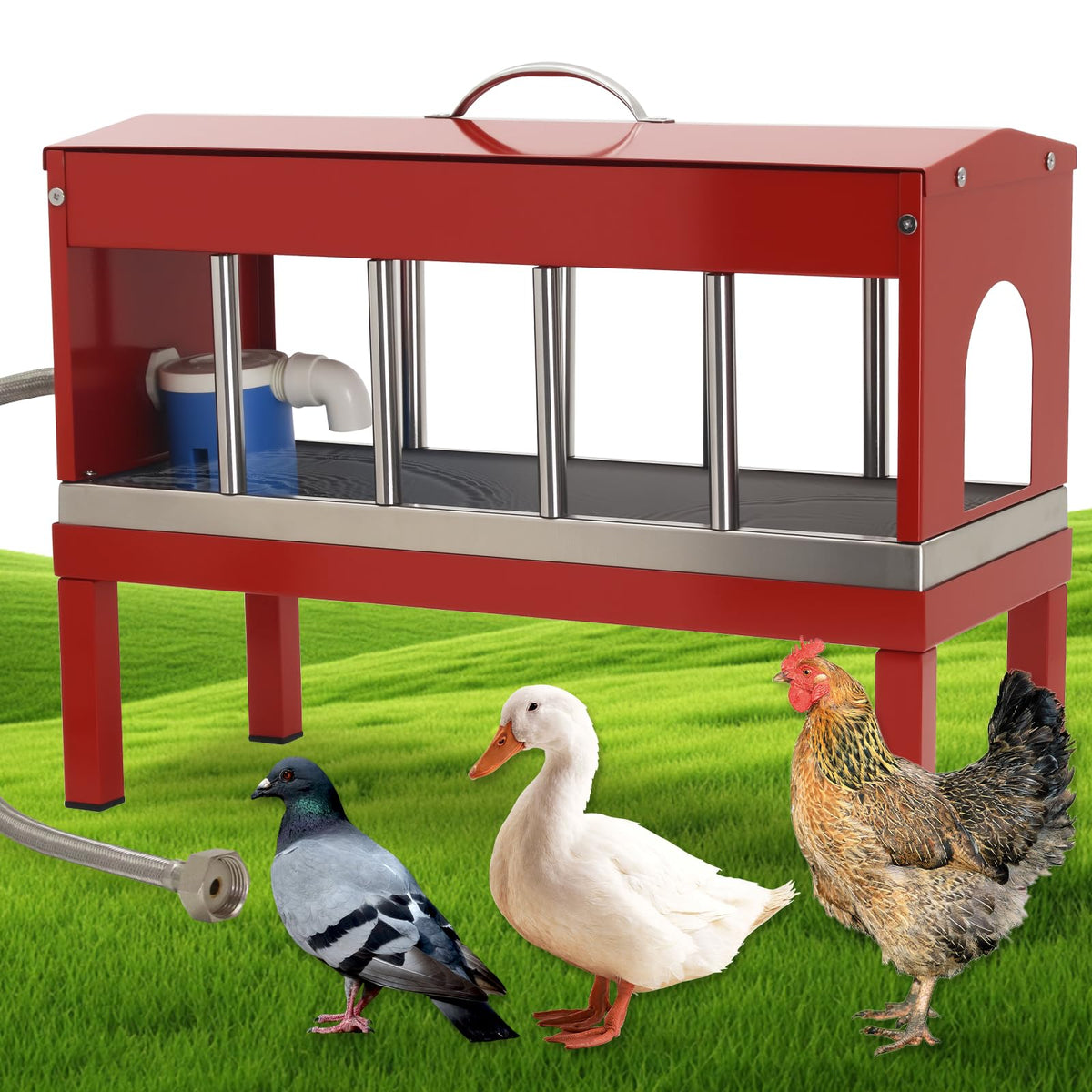 Automatic Stainless Steel Poultry Waterer Dispenser C906