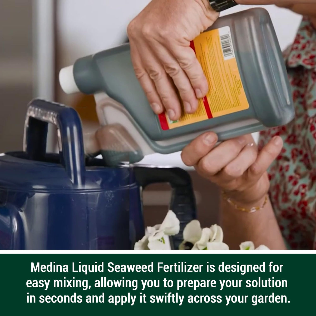 Liquid Seaweed Fertilizer 1 Quart I89560