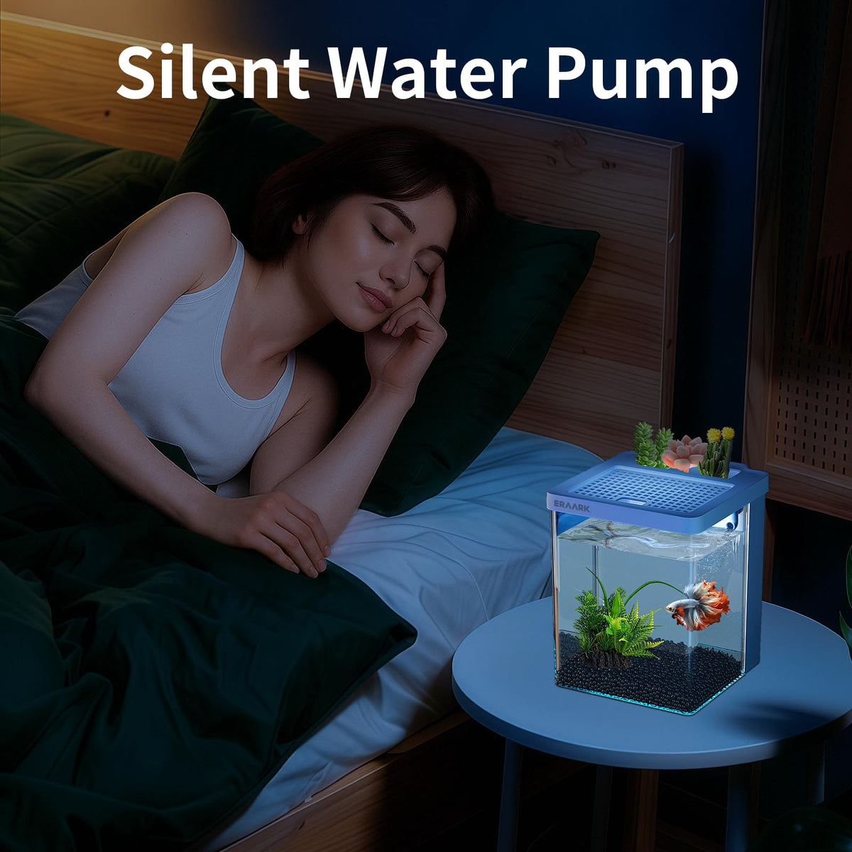 1.5 Gallon Aquarium Kit with Filter and LED Light Q269