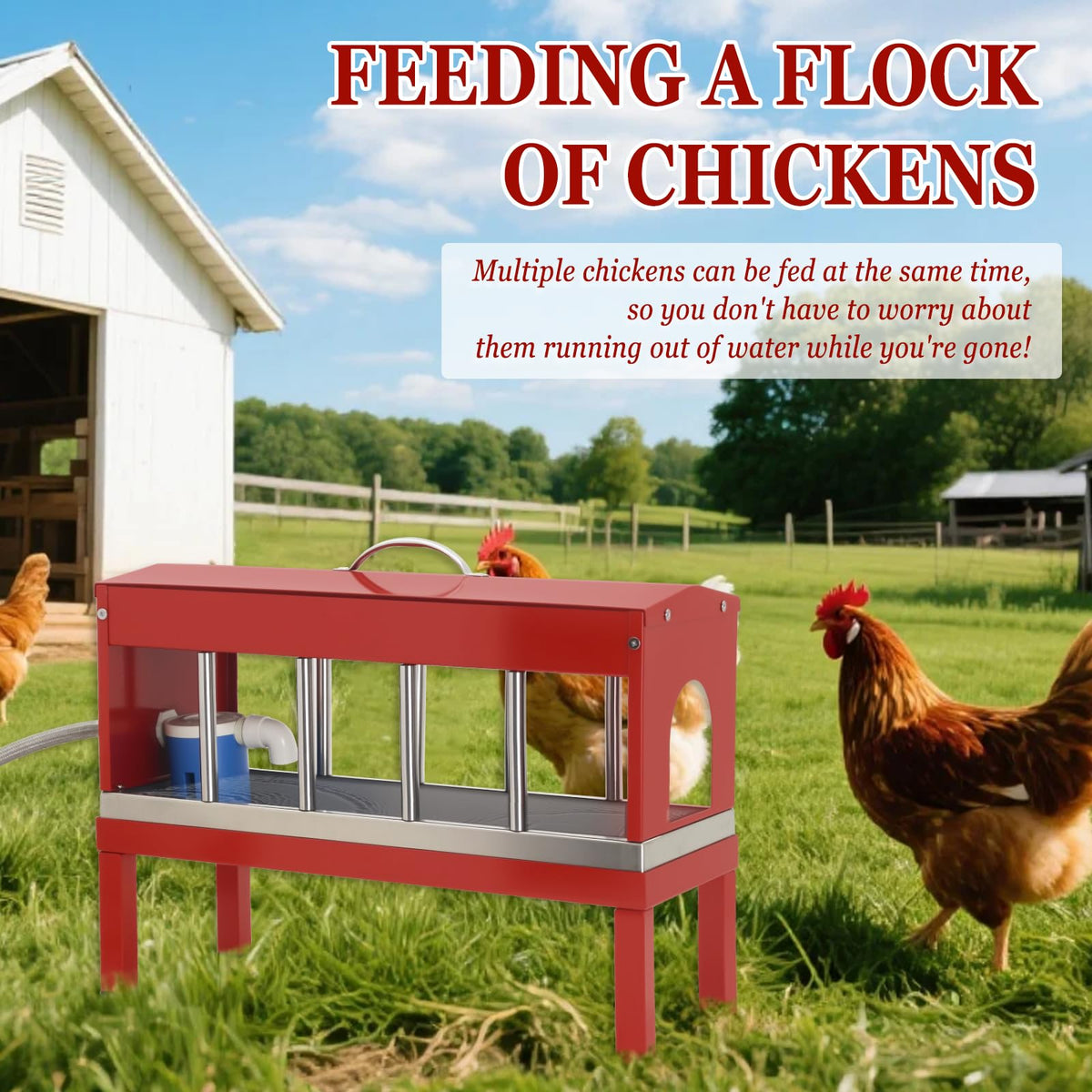 Automatic Stainless Steel Poultry Waterer Dispenser C906