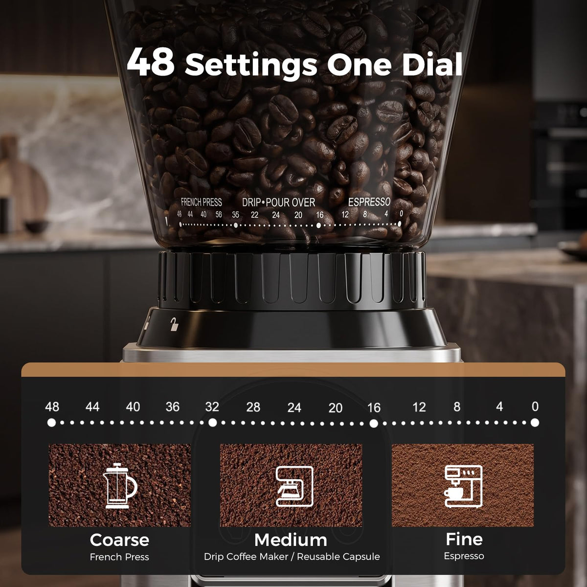 Conical Burr Coffee Grinder with 48 Settings D81463