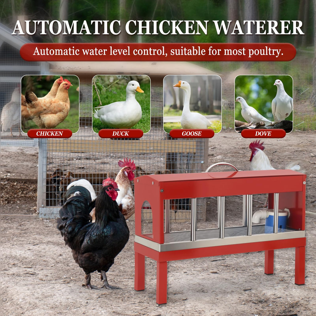Automatic Stainless Steel Poultry Waterer Dispenser C906