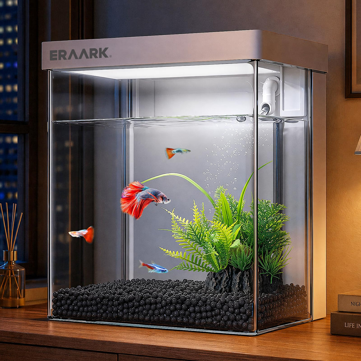 1.5 Gallon Aquarium Kit with Filter and LED Light Q269