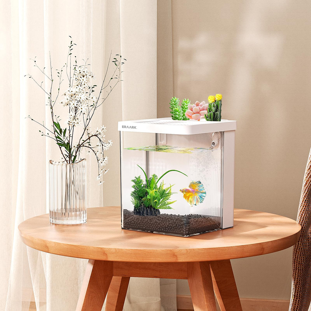 1.5 Gallon Aquarium Kit with Filter and LED Light Q269
