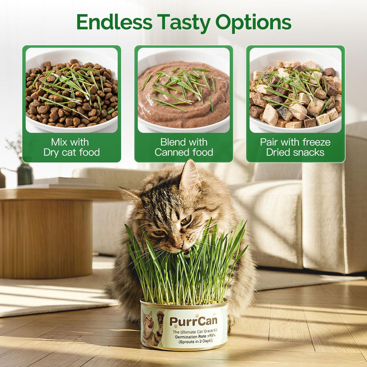 4 Can Cat Grass Kit with Non-GMO Organic Wheat Seeds D5394