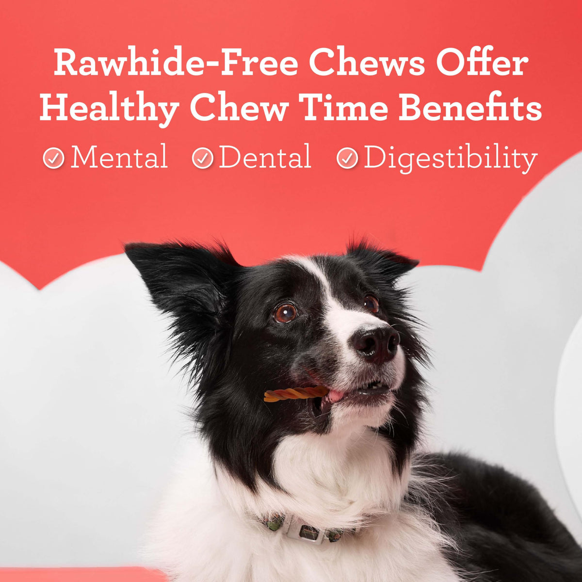 Rawhide-Free Dog Treats with Real Protein, 25 Count V13495