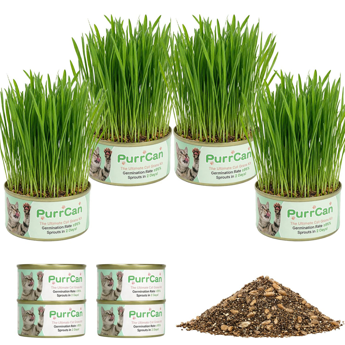 4 Can Cat Grass Kit with Non-GMO Organic Wheat Seeds D5394
