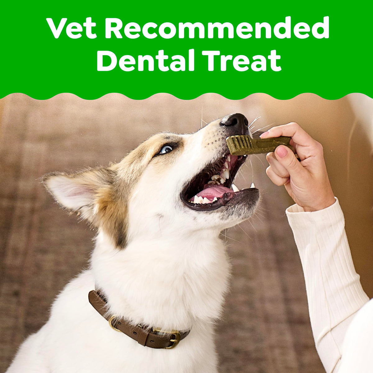Mint Original Blueberry Dental Dog Treats 60 Count Y733