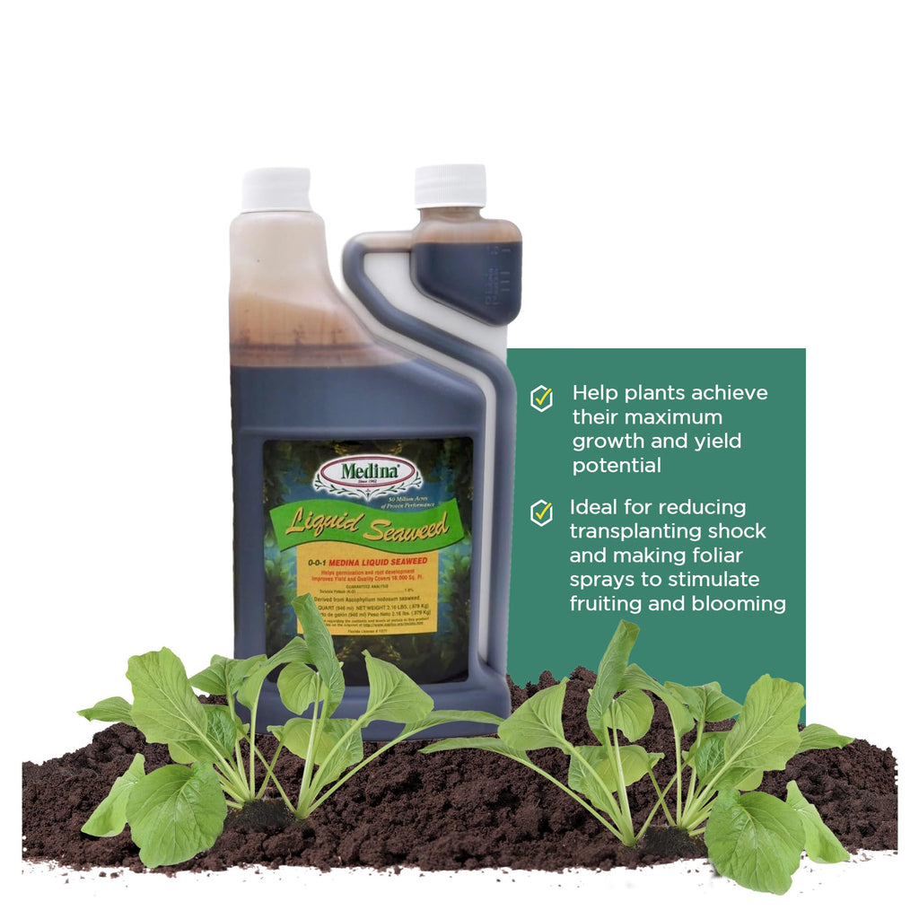 Liquid Seaweed Fertilizer 1 Quart I89560