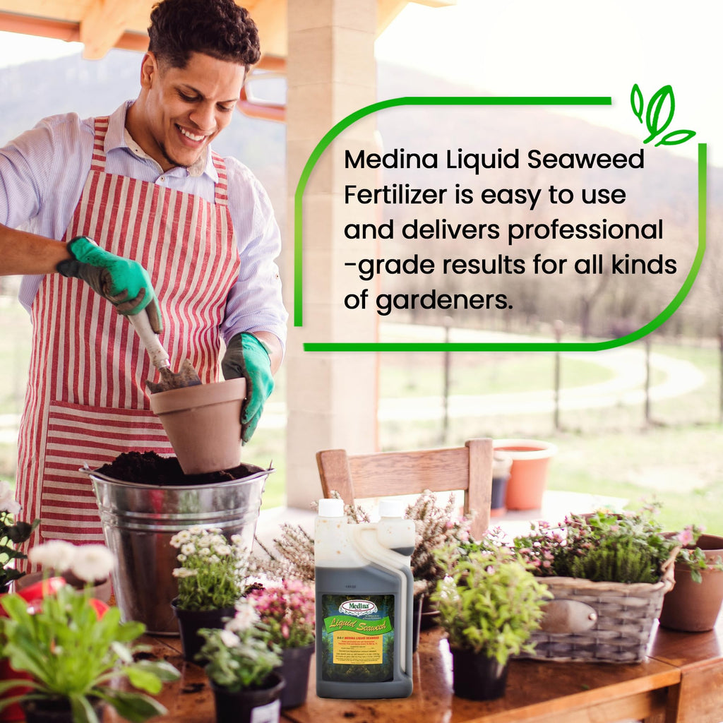 Liquid Seaweed Fertilizer 1 Quart I89560