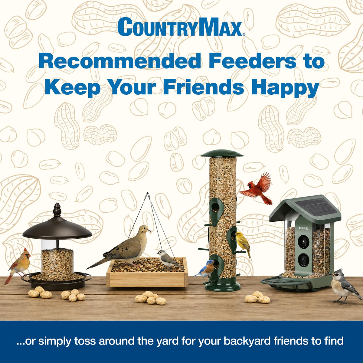 Backyard Seeds 20LB Finch & Small Songbird D5261