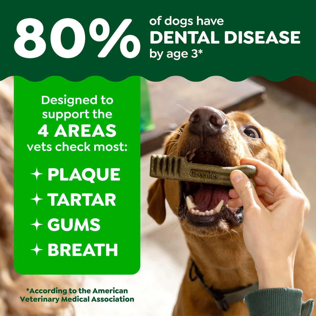 Mint Original Blueberry Dental Dog Treats 60 Count Y733