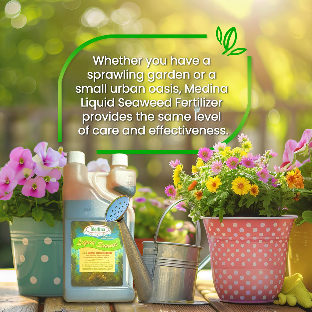 Liquid Seaweed Fertilizer 1 Quart I89560