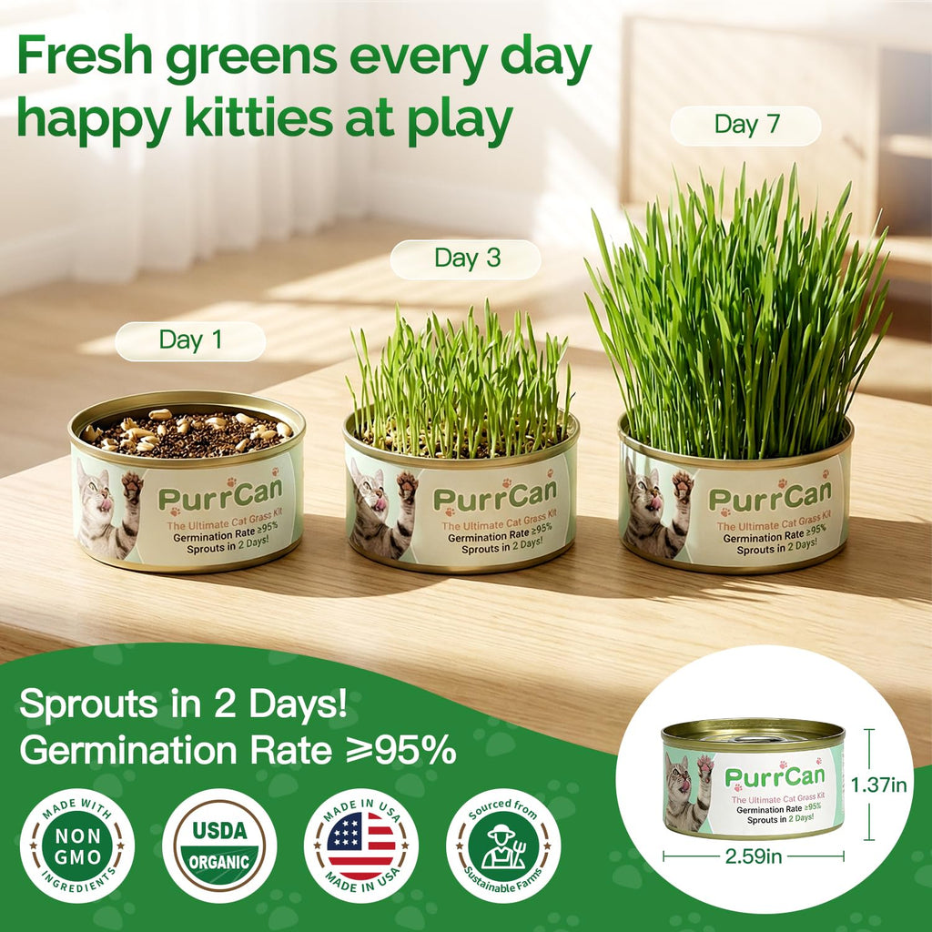 4 Can Cat Grass Kit with Non-GMO Organic Wheat Seeds D5394