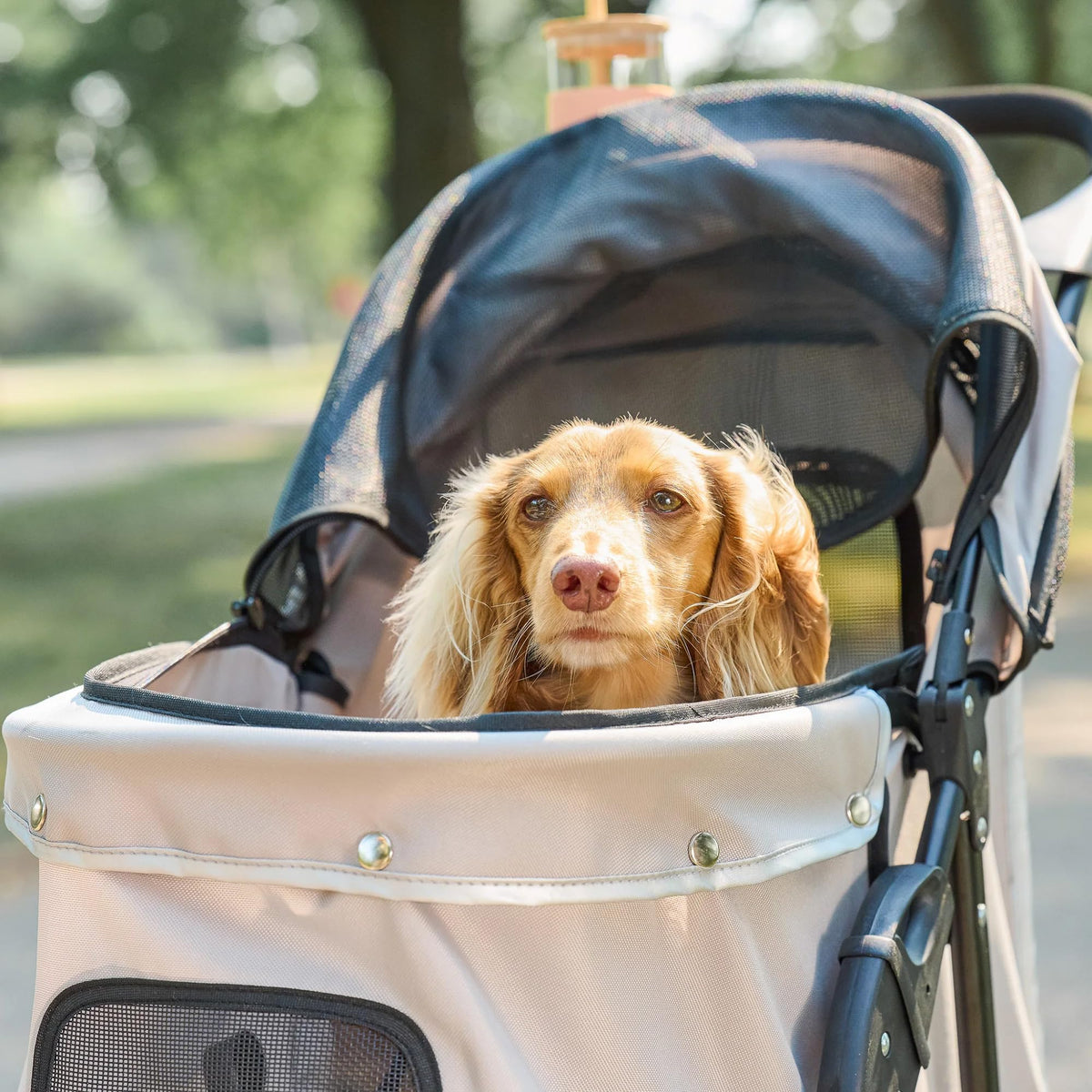 Khaki Pet Stroller with Mesh Canopy I526129