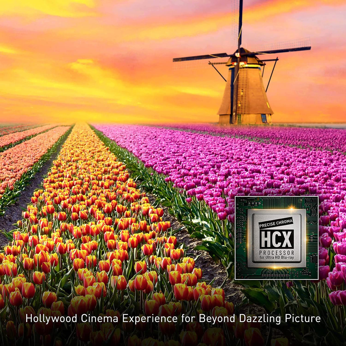 Ultra HD Blu-ray Player T4906